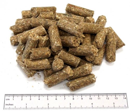 High Protein Sheep Nuts