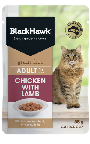 bhc501 black hawk grain free adult wet cat chicken with lamb 85g 600x961px