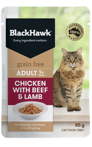 bhc504 black hawk grain free adult wet cat chicken with beef and lamb 85g 600x961px