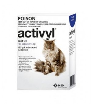 Activyl for Cats 260x300