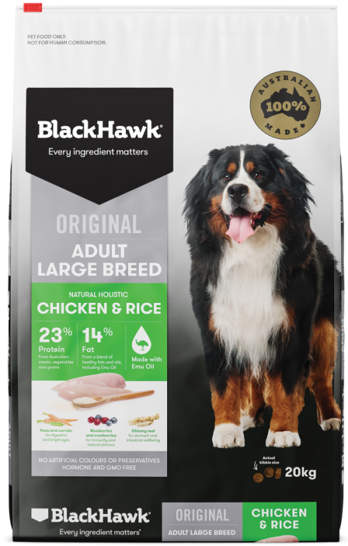 black hawk original adult large breed chicken rice v2