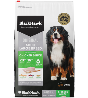 black hawk original adult large breed chicken rice